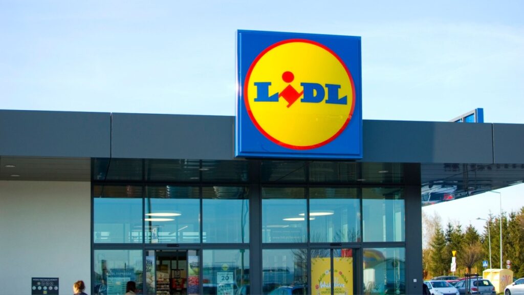 Zeg vaarwel tegen geraniums_ Lidl biedt een bloem aan voor slechts 2€ om je tuin tot de herfst op te fleuren